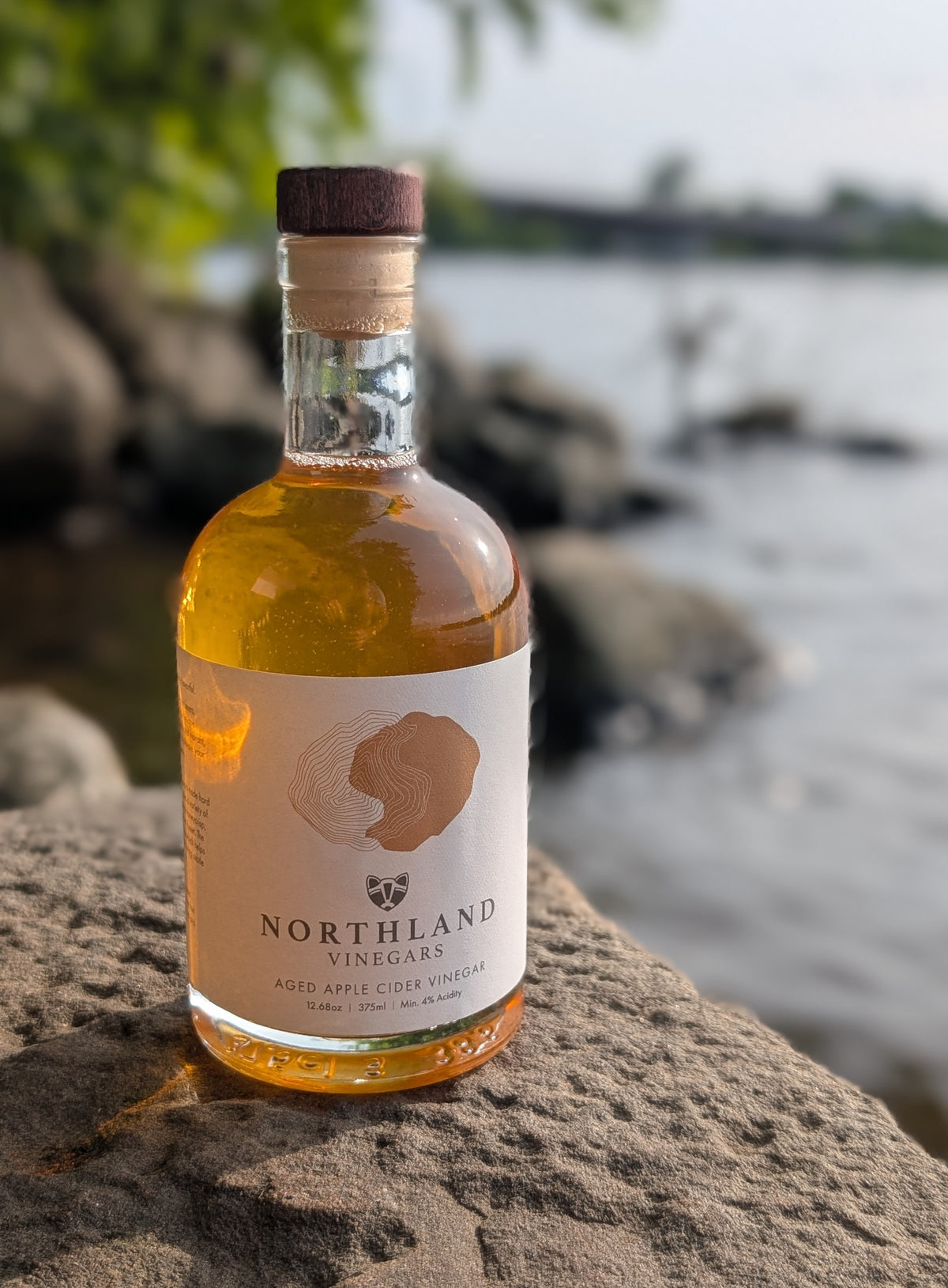 Bottle of Northland Vineyards cider on a rock by a river